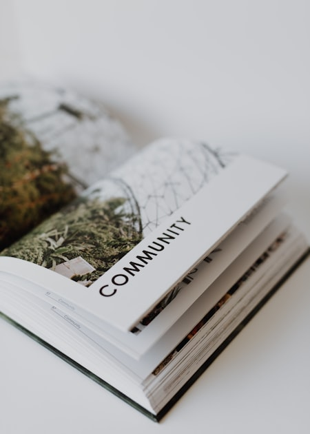 A Vibrant Literary Landscape